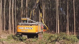 Sany Bagger für das Ernten von Bäumen